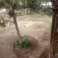 زمین-با-نامه-بنیاد-مسکن