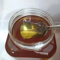 عسل کنار وحشی بشرط اصل|خوردنی و آشامیدنی|رامشیر, |دیوار