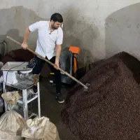فروشگاه زنجیره ای کشمش عسلک مویز بیدانه حلوایی|خوردنی و آشامیدنی|کرج, برغان|دیوار