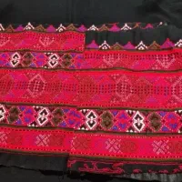 زیاستین