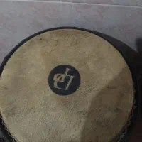 تومبا ست دوتکه|درام و پرکاشن|بندرعباس, |دیوار