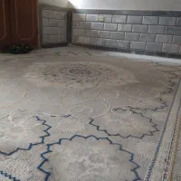 فرش نو تمیز|فرش|آزادشهر, |دیوار