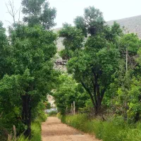 شیراز تراپی