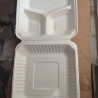 ظروف گیاهی یک بار مصرف