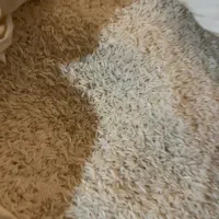 برنج هاشمی درجه1