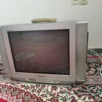 تلویزیون