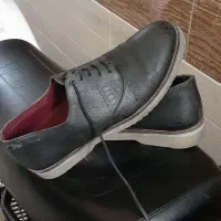 کفش شیک وبرند