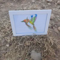 ترسیم گل و بلبل بوسیله خودکار و مدادرنگی