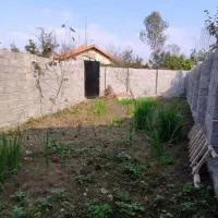 فروش ۸۵ متر زمین حوالی بلوار شهدای گمنام یخسازی|فروش زمین و ملک کلنگی|رشت, یخسازی|دیوار