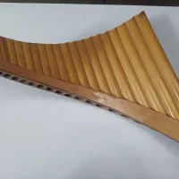 پنفلوت در حد نو