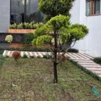 تهاترومعاوضه-ملک-شمال-مازندران-باکاشان