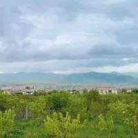 فروش باغ ۷۸۰۰ متری در زنجان|فروش زمین و ملک کلنگی|زنجان, |دیوار