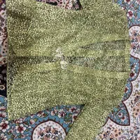 کت تک گیپور|لباس|شیراز, شهرک سعدی|دیوار
