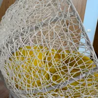 تاب ریلکسی|صندلی و نیمکت|کرج, برغان|دیوار