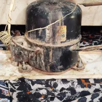 یخچال|یخچال و فریزر|زابل, |دیوار