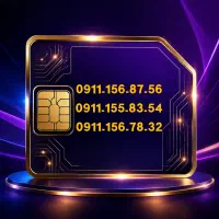 0911-156-87-56