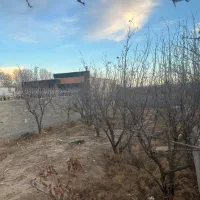 زمین-سند-تک-برگ-تهراندشت-کردان-سهیلیه