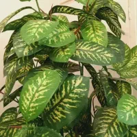 درختچه مصنوعی|گل مصنوعی|تهران, شهرک کوهسار|دیوار