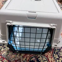 سگ اشپیتز|سگ|رشت, دروازه لاکان|دیوار