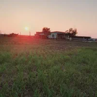 دامداری گاو.گوسفند اجاره