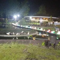 کار در باغ رستوران