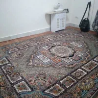 اجاره اپارتمان ۱۱۱ متری تمیز|اجارهٔ آپارتمان|الیگودرز, |دیوار