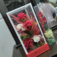 گل شیشه ای|گل مصنوعی|قم, ولیعصر|دیوار