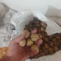 گردو درجه یک و پوست کاغذی