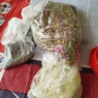 کارشناس و درمان قطعی سنگ کلیه