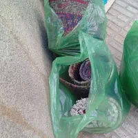 بیاهنرمنده اینجا