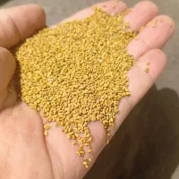 بذر رنجر مافا خاکشیر یونجه پاک ارسال کل ایران|عمده‌فروشی|شیراز, قدوسی غربی|دیوار