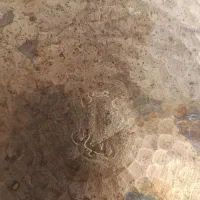 نوین مس زنجان|ظروف پخت‌وپز|نهاوند, |دیوار