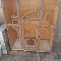 قفس چوبی|لوازم جانبی حیوانات|تربت جام, شهید مدرس|دیوار