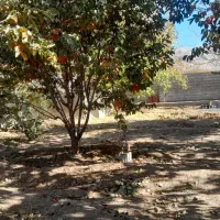 فروش باغچه در متراژهای مختلف