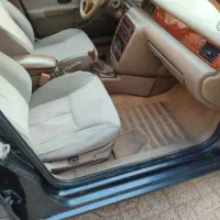 سمند خاکستری