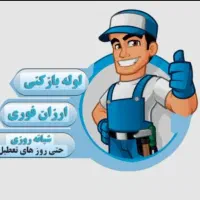 لوله بازکنی 100٪تضمینی|خدمات پیشه و مهارت|چابهار, |دیوار