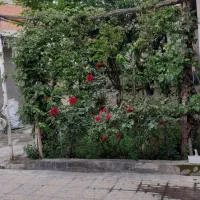 خانه ویلایی عدالت ناهارخوران