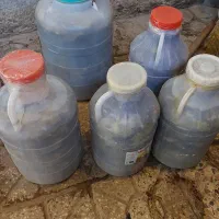 خیار شور تازه و ترد دبه های ۱۲ کیلویی