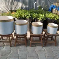 گلدان واستندونگهدارنده گل|گل و گیاه طبیعی|اصفهان, ورزشگاه نقش جهان|دیوار