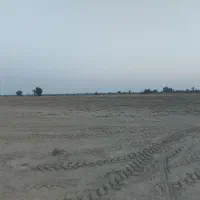 فروش زمین کشاورزی بیست هکتار|فروش دفتر صنعتی، کشاورزی، تجاری|بندرعباس, |دیوار