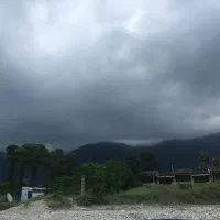 قطعات-230تا300متر-دارای-سندتک-ملک-شخصی-پلاک1جنگل