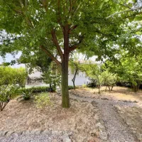 ویلا باغ 670متر/ مشجر و دلباز/ عرصه عیان/نعمت آباد|فروش خانه و ویلا|چمستان, |دیوار