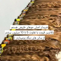 فروش مو طبیعی