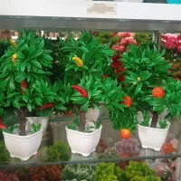 گل فروشی وحدانی|گل مصنوعی|ریگان, |دیوار