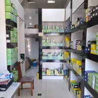 انواع لنت ترمز خودروهای سواری