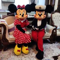 عروسک تنپوش|خدمات پذیرایی، مراسم|ری, دیلمان|دیوار