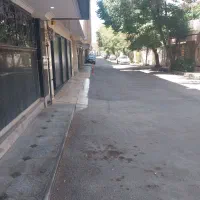 ویلای-250-متری