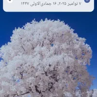 وکیل پایه یک دادگستری