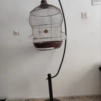 قفس طلایی|لوازم جانبی حیوانات|خوی, |دیوار