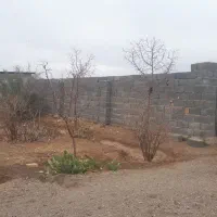 مجموعه گلخانه ای ودامداری صنعتی